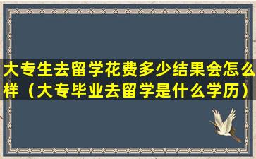 大专生去留学花费多少结果会怎么样（大专毕业去留学是什么学历）