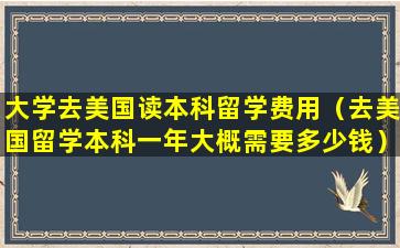 大学去美国读本科留学费用（去美国留学本科一年大概需要多少钱）