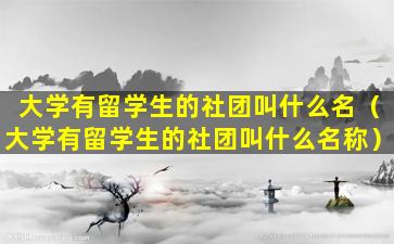 大学有留学生的社团叫什么名（大学有留学生的社团叫什么名称）