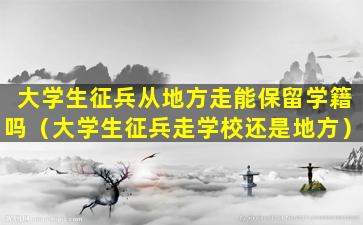 大学生征兵从地方走能保留学籍吗（大学生征兵走学校还是地方）