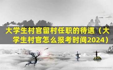 大学生村官留村任职的待遇（大学生村官怎么报考时间2024）