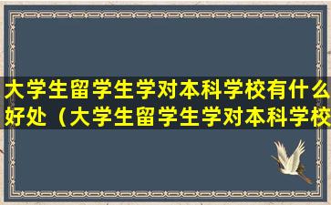 大学生留学生学对本科学校有什么好处（大学生留学生学对本科学校有什么好处和坏处）