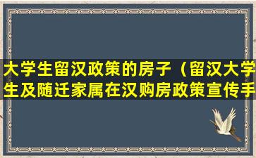 大学生留汉政策的房子（留汉大学生及随迁家属在汉购房政策宣传手册）