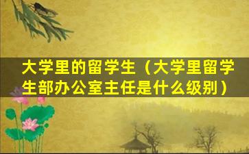 大学里的留学生（大学里留学生部办公室主任是什么级别）