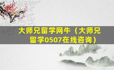 大师兄留学网牛（大师兄留学0507在线咨询）