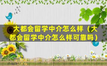 大都会留学中介怎么样（大都会留学中介怎么样可靠吗）