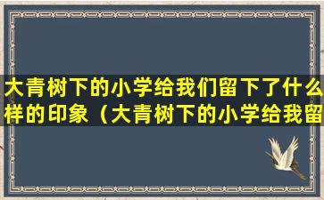 大青树下的小学给我们留下了什么样的印象（大青树下的小学给我留下了什么印象大青树下的小学）