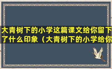 大青树下的小学这篇课文给你留下了什么印象（大青树下的小学给你留下了哪些深刻的印象想一想写一写）