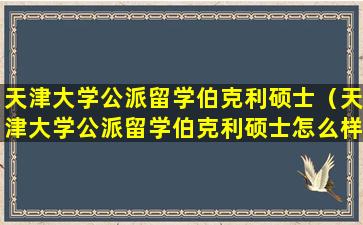 天津大学公派留学伯克利硕士（天津大学公派留学伯克利硕士怎么样）