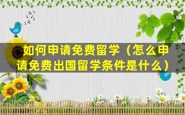 如何申请免费留学（怎么申请免费出国留学条件是什么）