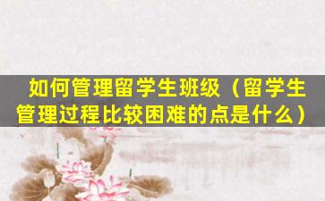 如何管理留学生班级（留学生管理过程比较困难的点是什么）