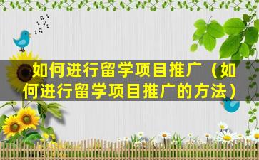 如何进行留学项目推广（如何进行留学项目推广的方法）
