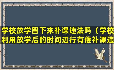 学校放学留下来补课违法吗（学校利用放学后的时间进行有偿补课违法吗）