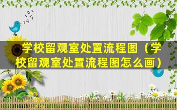 学校留观室处置流程图（学校留观室处置流程图怎么画）