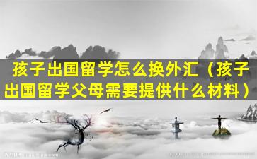 孩子出国留学怎么换外汇（孩子出国留学父母需要提供什么材料）