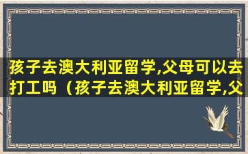 孩子去澳大利亚留学,父母可以去打工吗（孩子去澳大利亚留学,父母可以去打工吗知乎）