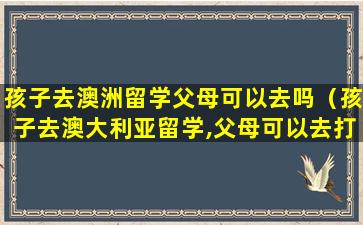 孩子去澳洲留学父母可以去吗（孩子去澳大利亚留学,父母可以去打工吗）