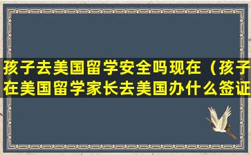 孩子去美国留学安全吗现在（孩子在美国留学家长去美国办什么签证好）