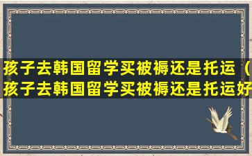 孩子去韩国留学买被褥还是托运（孩子去韩国留学买被褥还是托运好）