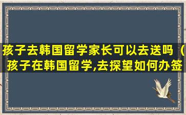 孩子去韩国留学家长可以去送吗（孩子在韩国留学,去探望如何办签证）