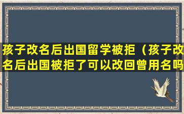 孩子改名后出国留学被拒（孩子改名后出国被拒了可以改回曾用名吗）