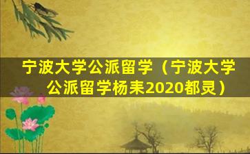 宁波大学公派留学（宁波大学公派留学杨耒2020都灵）