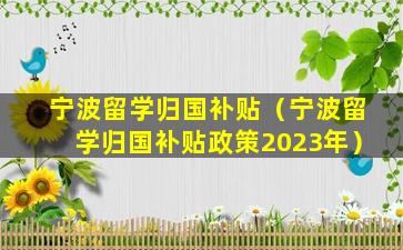 宁波留学归国补贴（宁波留学归国补贴政策2023年）