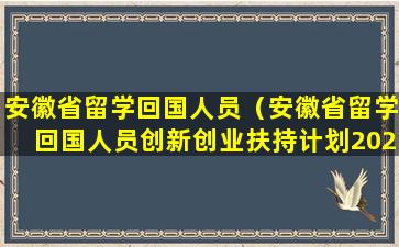 安徽省留学回国人员（安徽省留学回国人员创新创业扶持计划2023）