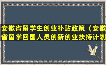 安徽省留学生创业补贴政策（安徽省留学回国人员创新创业扶持计划）