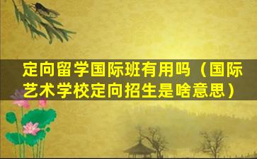 定向留学国际班有用吗（国际艺术学校定向招生是啥意思）