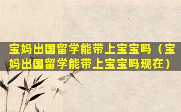 宝妈出国留学能带上宝宝吗（宝妈出国留学能带上宝宝吗现在）