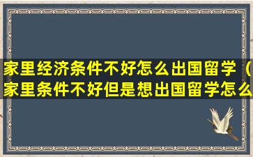 家里经济条件不好怎么出国留学（家里条件不好但是想出国留学怎么办）