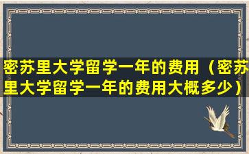 密苏里大学留学一年的费用（密苏里大学留学一年的费用大概多少）