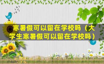 寒暑假可以留在学校吗（大学生寒暑假可以留在学校吗）