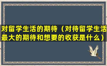 对留学生活的期待（对待留学生活最大的期待和想要的收获是什么）
