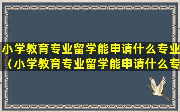 小学教育专业留学能申请什么专业（小学教育专业留学能申请什么专业研究生）