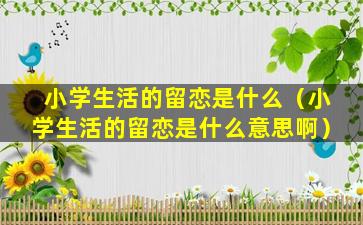 小学生活的留恋是什么（小学生活的留恋是什么意思啊）