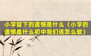小学留下的遗憾是什么（小学的遗憾是什么初中我们该怎么做）