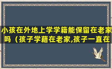 小孩在外地上学学籍能保留在老家吗（孩子学藉在老家,孩子一直在外地上学,学藉会自动转吗）