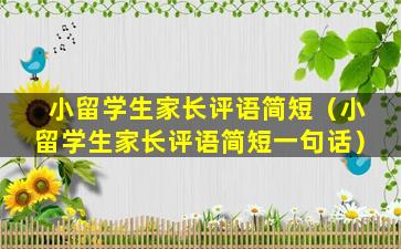 小留学生家长评语简短（小留学生家长评语简短一句话）