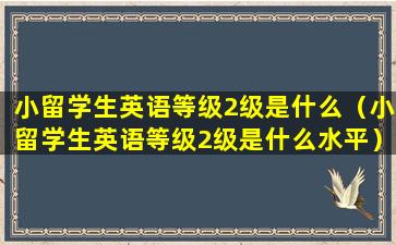 小留学生英语等级2级是什么（小留学生英语等级2级是什么水平）