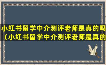 小红书留学中介测评老师是真的吗（小红书留学中介测评老师是真的吗吗）