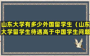 山东大学有多少外国留学生（山东大学留学生待遇高于中国学生问题）