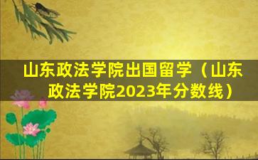 山东政法学院出国留学（山东政法学院2023年分数线）