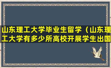 山东理工大学毕业生留学（山东理工大学有多少所高校开展学生出国交流项目）