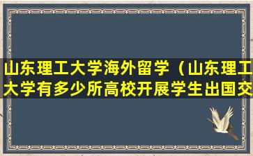 山东理工大学海外留学（山东理工大学有多少所高校开展学生出国交流项目）