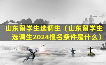 山东留学生选调生（山东留学生选调生2024报名条件是什么）