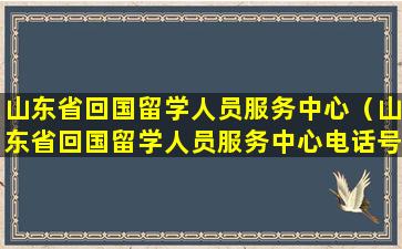 山东省回国留学人员服务中心（山东省回国留学人员服务中心电话号码）