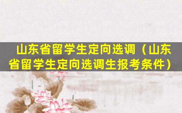 山东省留学生定向选调（山东省留学生定向选调生报考条件）