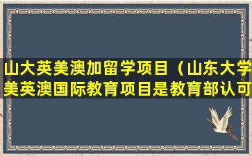 山大英美澳加留学项目（山东大学美英澳国际教育项目是教育部认可的大学吗）